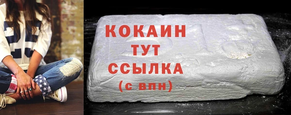 ПСИЛОЦИБИНОВЫЕ ГРИБЫ Гусев