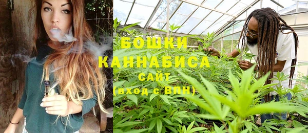 дурь Козловка