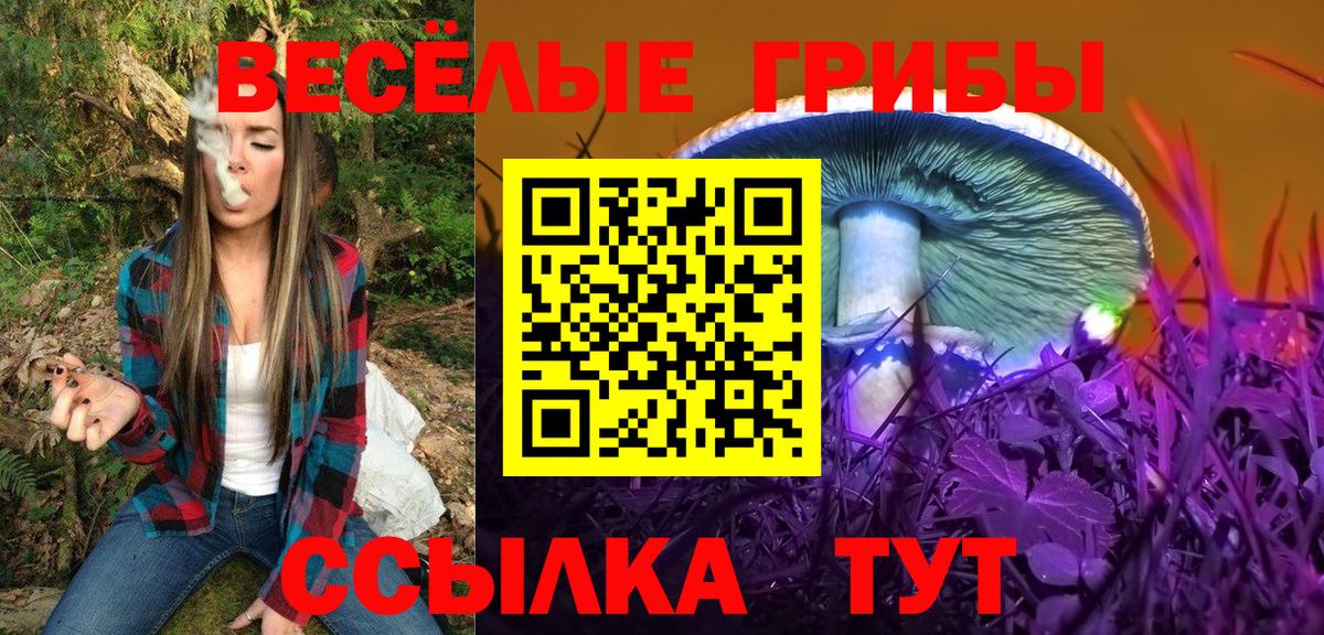 Псилоцибиновые грибы мицелий Смоленск