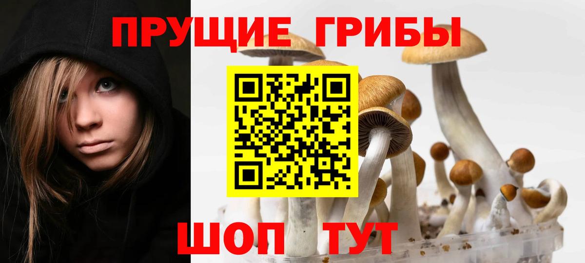 закладка  Галлюциногенные грибы мухоморы  Вход с VPN  Смоленск 